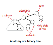 Anatomy of a binary tree
