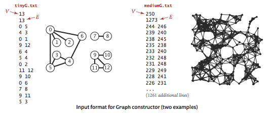 Graph input format